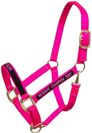 Horses Halter