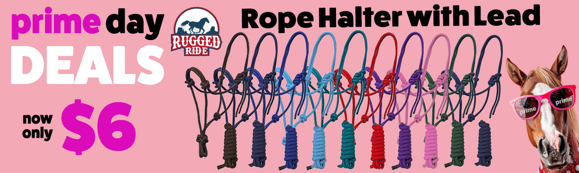 Rope Halter & Lead $6 - Prime Day Deal