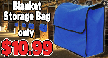 Blanket Storage Bags $10.99