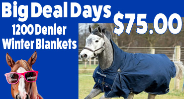 1200 Denier Winter Turnout Blankets $75.00