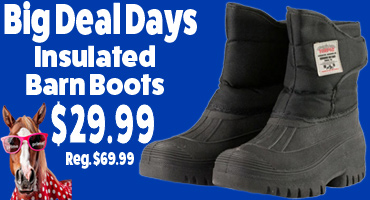 Insulated Barn Boots $29.99 - Big Deal Days