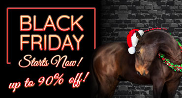 Black Friday - up to 90% Off Starts Now!