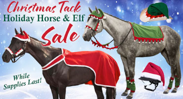 Christmas Tack Sale