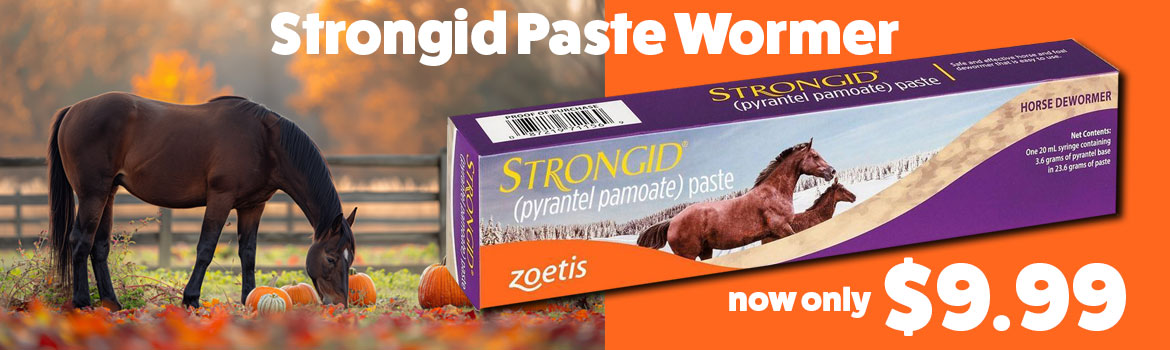 Strongid Wormer only $9.99