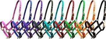 Hamilton Quality 3/4 Inch Nylon Adjustable Halter - Foal/Pony/Weanling:  Chicks Discount Saddlery