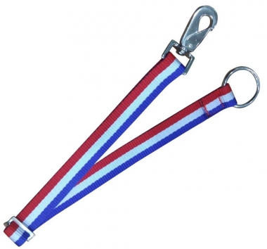 Showman Red, White, And Blue Adjustable Nylon Bucket Strap: Chicks ...