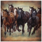 Running Horses Shower Curtain