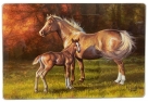 Palomino Mare & Foal Tempered Glass Cutting Board