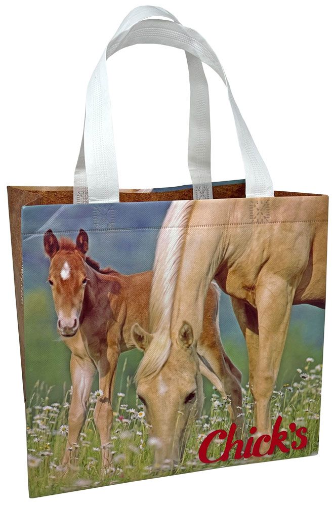 Chick's Exclusive Unicorns are Real! Print 19 Inch Duffle Bag: Chicks  Discount Saddlery