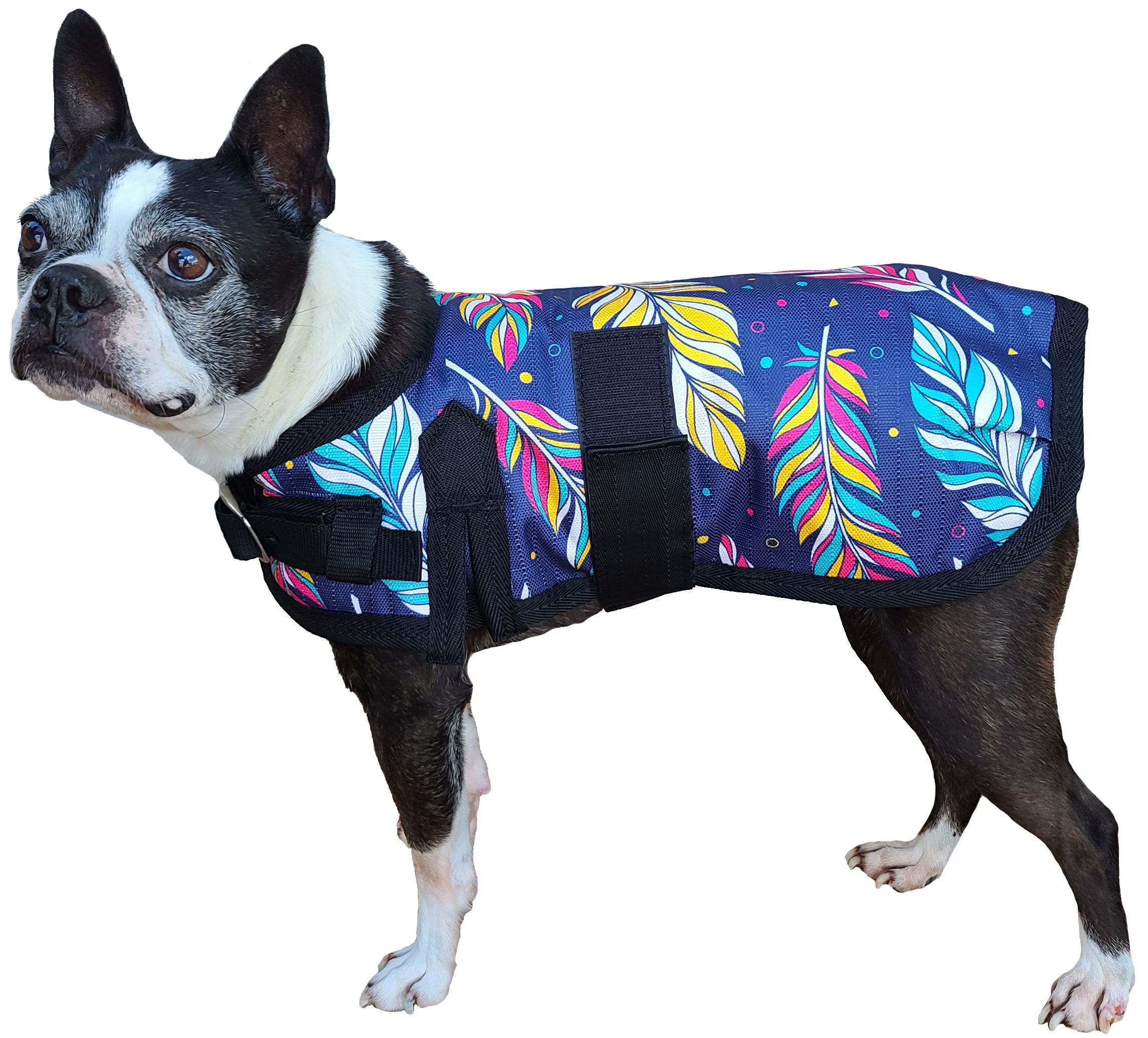 Cavalier Century Reflective Splatter Dog Coat Teal - The Horse Barn