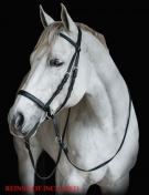 Beta Bitless Bridle By Dr. Cook