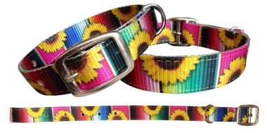 Dog sales sunflower collar