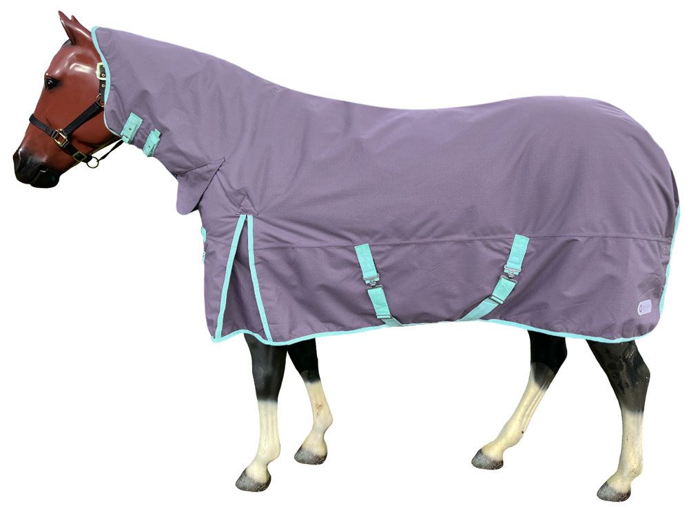 Pony & Mini Blankets!: Chicks Discount Saddlery