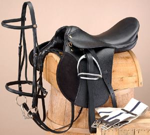 horse saddle tack