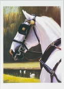 Blank Pack of 6 Cards - Grey Driving Horse