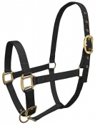 Guardian Premium Nylon Halter - Without Throat Snap