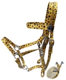 Showman Sunflowers Print Nylon Halter/Bridle Combo With Matching Reins