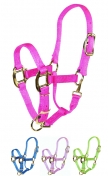 Hamilton Quality 3/4 Inch Nylon Adjustable Halter With Snap - Pony and Weanling Sizes