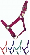 Hamilton Deluxe 1 Inch Adjustable Nylon Horse Halter