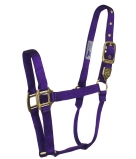 Hamilton Deluxe 1 Inch Nylon Horse Halter