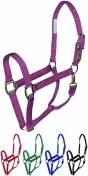 Hamilton Deluxe 3/4 Inch Nylon Halter With Snap - Foal/Weanling sizes