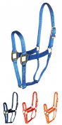 Hamilton Quality 1 Inch Nylon Horse Halter