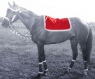 Tough-1 Holiday Horse English Saddle Pad Cover