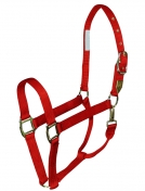 Hamilton Deluxe 1 Inch Adjustable Nylon Halter With Snap - Yearling/Cob