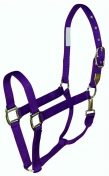 Hamilton Deluxe 1 Inch Nylon Halter With Snap - Yearling/Cob