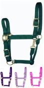 Hamilton Quality 1 Inch Nylon Adjustable Horse Halter With Snap