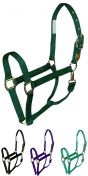 Hamilton Deluxe 1 Inch Nylon Horse Halter With Snap