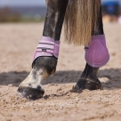 Horze Adepto Fetlock Boots