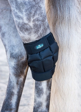 Ice horse hock on sale wrap