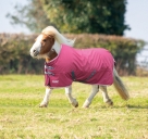 Shires Mini Highlander 600D Turnout Blanket -200 gr Fill