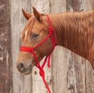 Rugged Ride Braided Mule Tape Halter With 10 foot Lead - Solids