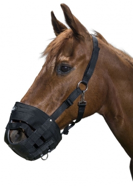 Tough 1 I Love My Horse Halter