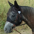 Cashel Quiet Ride Standard Fly Mask With Ears