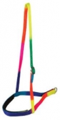 Rainbow Nylon Noseband/Caveson