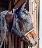 Rugged Ride Fine Mesh Reflective Fly Mask With Ears And Forelock Hole