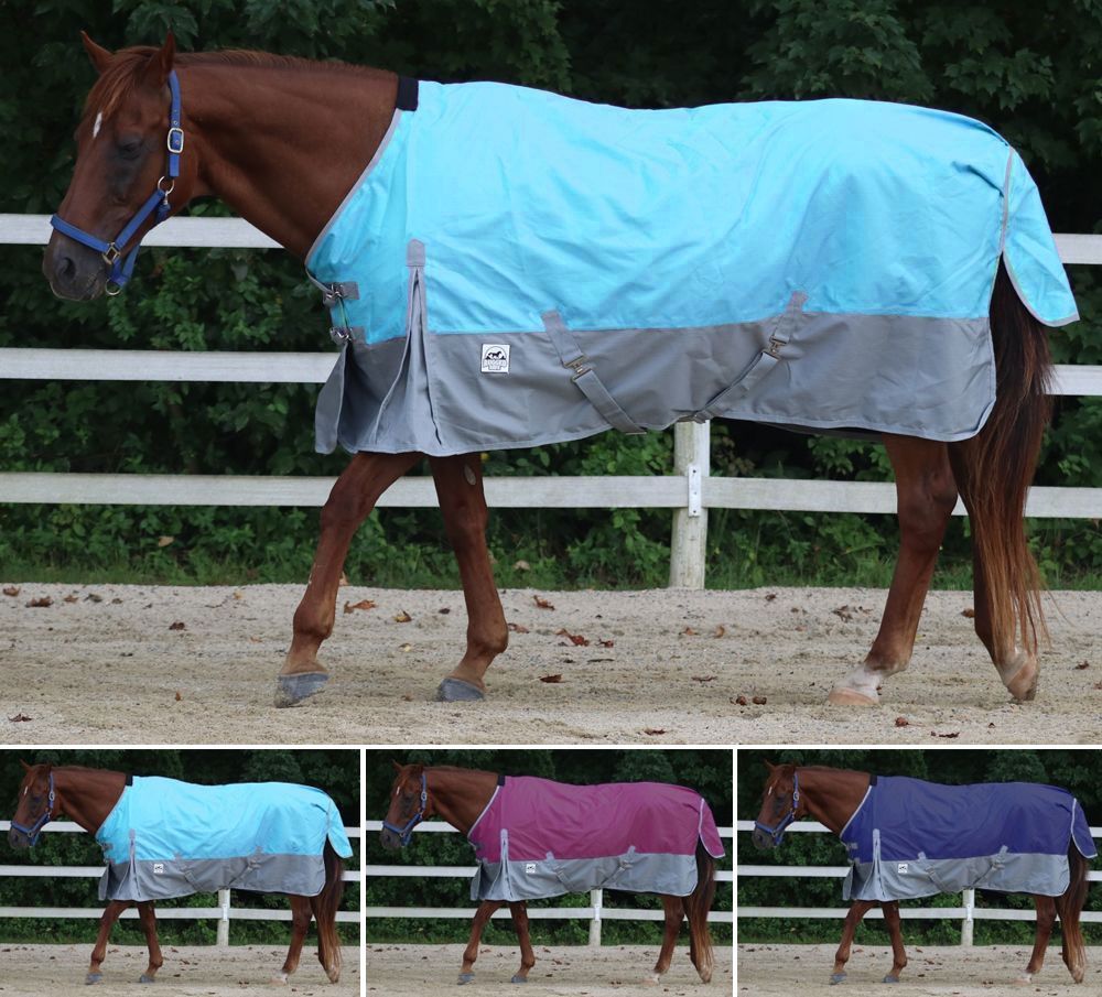 Horse Blankets and Sheets for Sale — AJ Tack