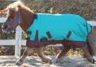 Showman Foal/Mini 1200 Denier Blanket-Adj 36-40 Inch - 300 gr Fill