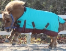Showman Large Mini / Pony 1200 Denier Adjustable Waterproof Turnout Blanket - 300 Grams Fill