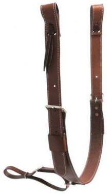 Cinch Back Buckle