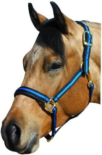 Hamilton Quality 3/4 Inch Nylon Adjustable Halter - Foal/Pony/Weanling:  Chicks Discount Saddlery