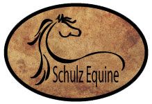 Schulz Equine The Beat Bag Bluetooth Pommel Speakers - Cattle Drive