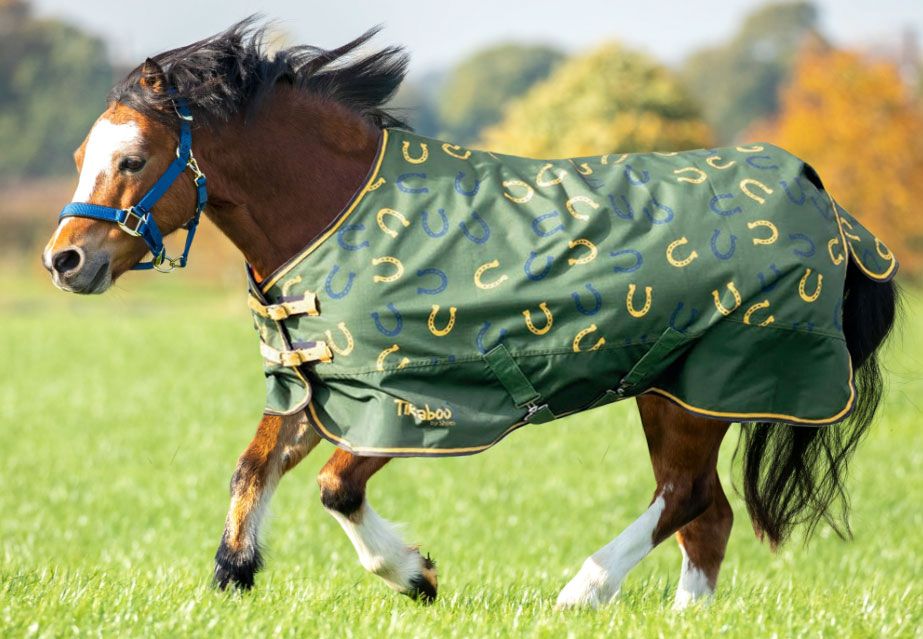 Horse Blankets: Chicks Discount Saddlery