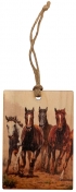 Double Sided Wood Photo Ornament - Wild Wings