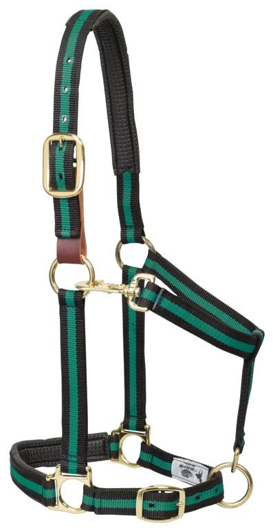 Padded Adjustable Chin & Throat Snap Horse Halter from Weaver Leather.