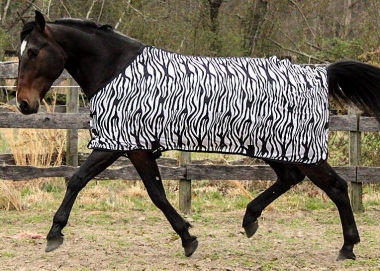 Horse Blanket Replacement Detachable Adjustable 2 BELLY Leg